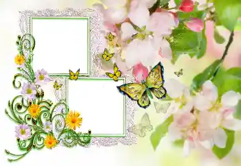 Fotoefect din categoria Diverse pentru copii № 115846. Inscripție pe ramă: Felicitări! Fotoefect din categoria Diverse pentru copii № 115846. Inscripție pe ramă: Felicitări!