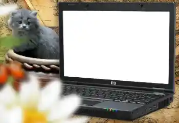 Fotoefect din categoria Diverse pentru copii № 157214