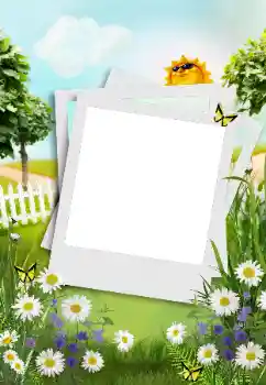 Fotoefect din categoria Sat și casă de vacanță № 163561
