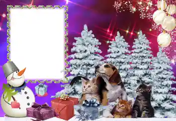 Fotoefect din categoria Sărbători pentru copii № 178291 Fotoefect din categoria Sărbători pentru copii № 178291