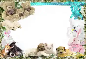 Fotoefect din categoria Jucăriile și animalele mele preferate № 158458 Fotoefect din categoria Jucăriile și animalele mele preferate № 158458