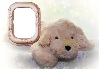 Fotoefect din categoria Jucăriile și animalele mele preferate № 169102 Fotoefect din categoria Jucăriile și animalele mele preferate № 169102