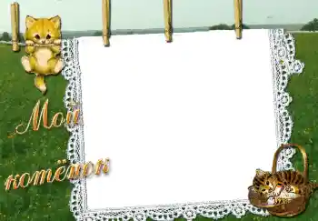 Fotoefect din categoria Jucăriile și animalele mele preferate № 2892. Inscripție pe ramă: Мой котенок