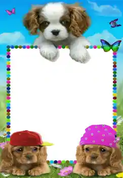 Fotoefect din categoria Jucăriile și animalele mele preferate № 68642