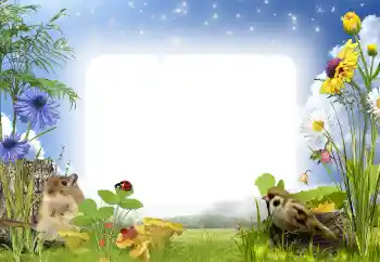 Fotoefect din categoria În natură № 141000 Fotoefect din categoria În natură № 141000