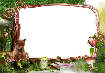 Fotoefect din categoria În natură № 142331 Fotoefect din categoria În natură № 142331