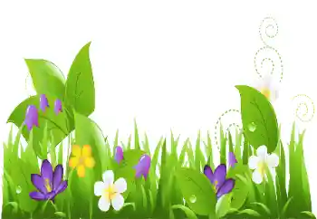 Fotoefect din categoria În natură № 151888 Fotoefect din categoria În natură № 151888