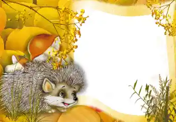 Fotoefect din categoria În natură № 166562