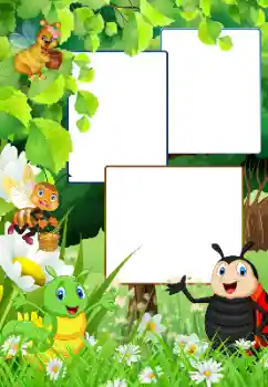 Fotoefect din categoria În natură № 180793