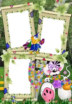 Fotoefect din categoria În natură № 39022