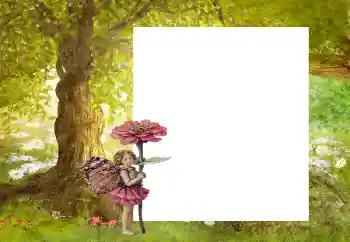Fotoefect din categoria În natură № 9863 Fotoefect din categoria În natură № 9863