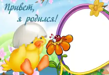Fotoefect din categoria Primul an № 13982. Inscripție pe ramă: M-am născut