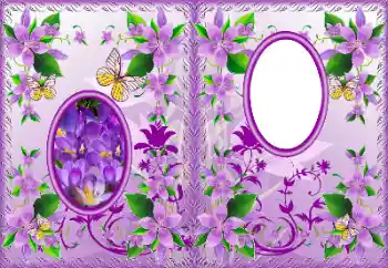 Fotoefect din categoria Coperti DVD № 183322