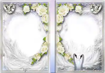 Fotoefect din categoria Coperti DVD № 4456. Inscripție pe ramă: Nunta noastră Fotoefect din categoria Coperti DVD № 4456. Inscripție pe ramă: Nunta noastră
