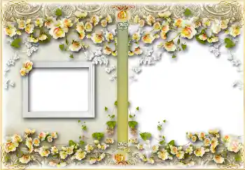 Fotoefect din categoria Coperti DVD № 4457. Inscripție pe ramă: Zi de naștere Fotoefect din categoria Coperti DVD № 4457. Inscripție pe ramă: Zi de naștere