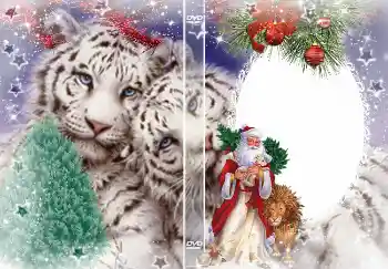 Fotoefect din categoria Coperti DVD № 4463. Inscripție pe ramă: Anul Nou Fotoefect din categoria Coperti DVD № 4463. Inscripție pe ramă: Anul Nou