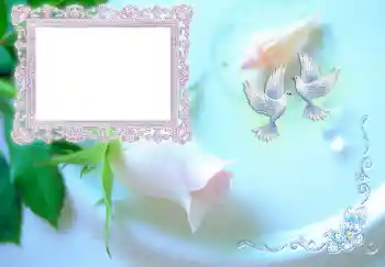 Fotoefect din categoria Invitații № 4453. Inscripție pe ramă: Invitație la nuntă