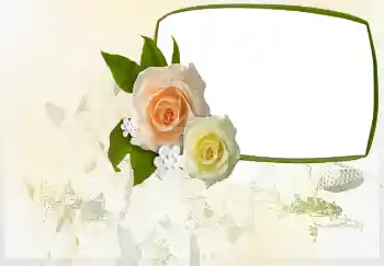 Fotoefect din categoria Invitații № 4455. Inscripție pe ramă: Invitație la...