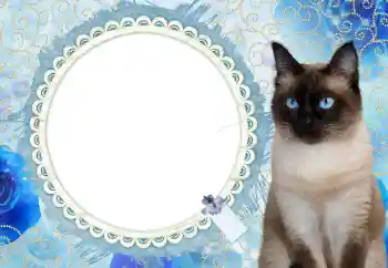 Fotoefect din categoria Calendare № 117588. Inscripție pe ramă: 2026 Fotoefect din categoria Calendare № 117588. Inscripție pe ramă: 2026