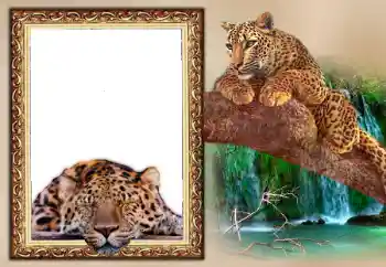 Fotoefect din categoria Calendare № 169097. Inscripție pe ramă: 2026 Fotoefect din categoria Calendare № 169097. Inscripție pe ramă: 2026