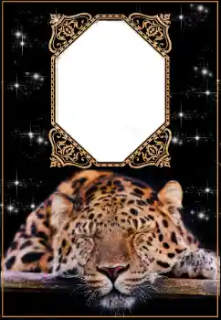 Fotoefect din categoria Calendare № 176574. Inscripție pe ramă: 2026 Fotoefect din categoria Calendare № 176574. Inscripție pe ramă: 2026