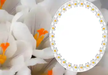 Fotoefect din categoria Calendare № 80371. Inscripție pe ramă: 2026 Fotoefect din categoria Calendare № 80371. Inscripție pe ramă: 2026