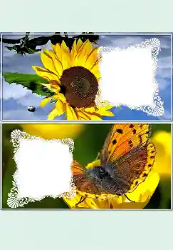 Fotoefect din categoria De birou № 4523