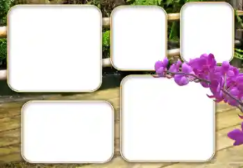 Fotoefect din categoria Diverse № 140964 Fotoefect din categoria Diverse № 140964