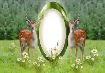 Fotoefect din categoria Diverse № 142259 Fotoefect din categoria Diverse № 142259