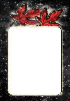 Fotoefect din categoria Diverse № 144867
