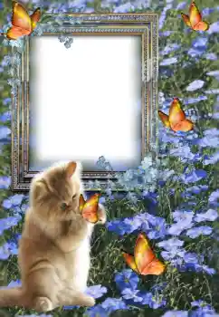 Fotoefect din categoria Diverse № 147609