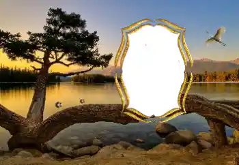 Fotoefect din categoria Diverse № 147663