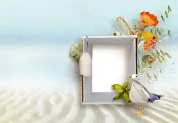 Fotoefect din categoria Diverse № 147890