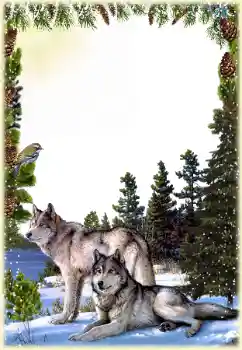 Fotoefect din categoria Diverse № 149260