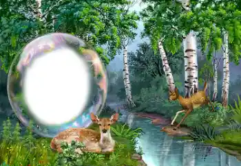 Fotoefect din categoria Diverse № 149352