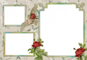 Fotoefect din categoria Diverse № 15030 Fotoefect din categoria Diverse № 15030