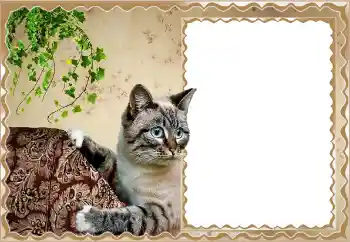 Fotoefect din categoria Diverse № 150513