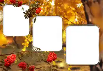 Fotoefect din categoria Diverse № 150527