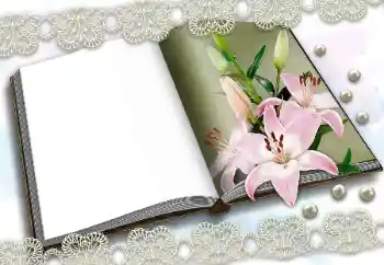 Fotoefect din categoria Diverse № 150570