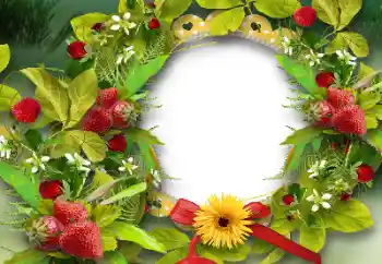 Fotoefect din categoria Diverse № 151668 Fotoefect din categoria Diverse № 151668