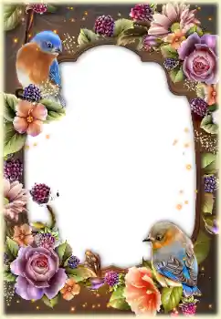 Fotoefect din categoria Diverse № 154440