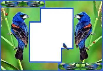Fotoefect din categoria Diverse № 154512