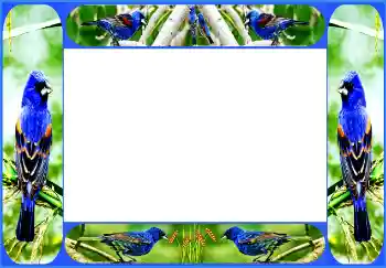 Fotoefect din categoria Diverse № 154514