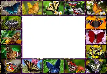 Fotoefect din categoria Diverse № 154545 Fotoefect din categoria Diverse № 154545