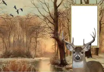 Fotoefect din categoria Diverse № 154607 Fotoefect din categoria Diverse № 154607