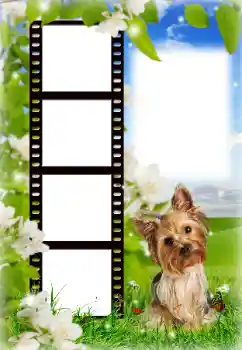 Fotoefect din categoria Diverse № 154718 Fotoefect din categoria Diverse № 154718