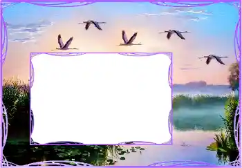 Fotoefect din categoria Diverse № 154759