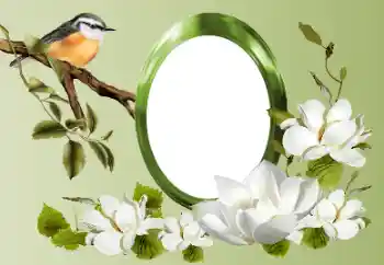 Fotoefect din categoria Diverse № 155868 Fotoefect din categoria Diverse № 155868