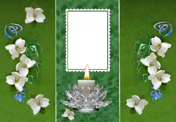 Fotoefect din categoria Diverse № 157116 Fotoefect din categoria Diverse № 157116