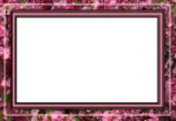 Fotoefect din categoria Diverse № 158431